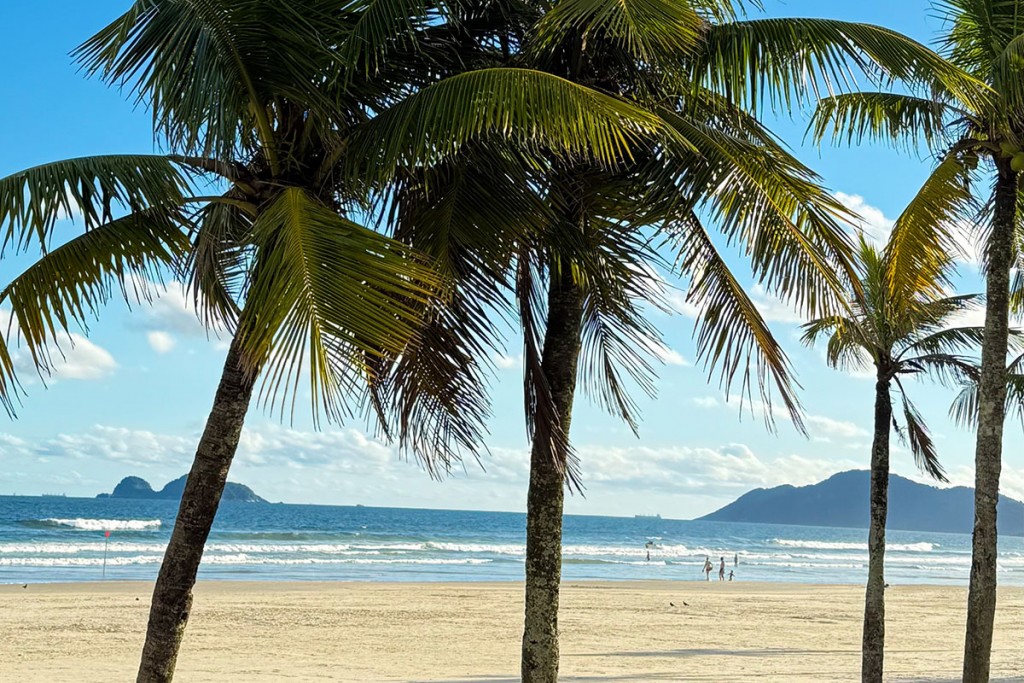 Travel Brasil