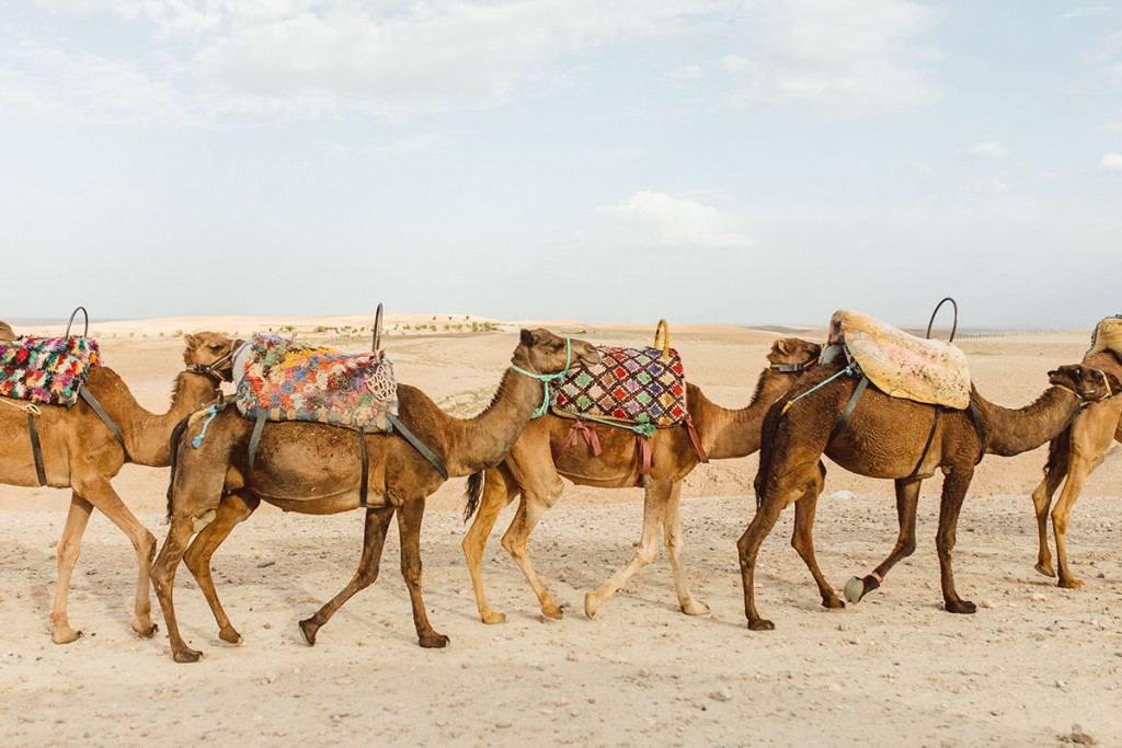 Morocco 